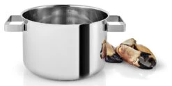 Eva Solo Kookpan Nordic Kitchen RVS - ø 20 Cm / 4 Liter -Le Creuset Winkel 281240 Nordic Kitchen Pot 4l 20cm regi HIGH