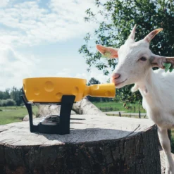 Boska Fondueset Cheesy - 6 Personen - Geel/zwart - 1.3 Liter 8 Boska Fondueset Cheesy - 6 Personen - Geel/zwart - 1.3 Liter -Le Creuset Winkel 853512 BOSKAFondueSetSuperCheesy 2 2400x