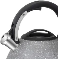 Resto Kitchenware Fluitketel Lyra - Zilver - 2.7 Liter -Le Creuset Winkel 90605.4260403577325.ver06