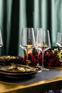 Leonardo Wijnglazenset Puccini (Rode Wijnglazen & Witte Wijnglazen & Champagneglazen)- 12 Delige Set -Le Creuset Winkel Glazen kerst 2