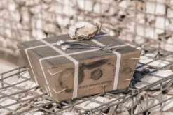 Anovi Oestervorkjes - 4 Stuks -Le Creuset Winkel Oysterforks