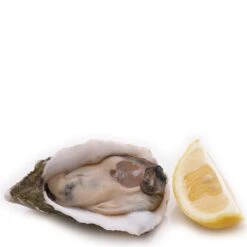 Westmark Oesteropener Zwart/RVS -Le Creuset Winkel Westmark Oesteropener Zwart 2