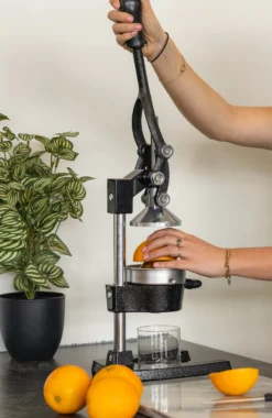 Sareva Citruspers - Gietijzer - Hevelmodel - Zwart 10 Sareva Citruspers - Gietijzer - Hevelmodel - Zwart -Le Creuset Winkel citruspers 3 1 scaled