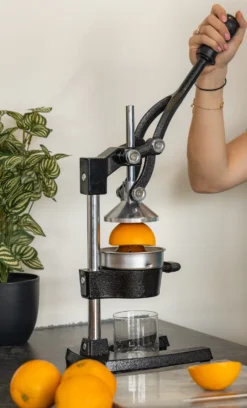 Sareva Citruspers - Gietijzer - Hevelmodel - Zwart 11 Sareva Citruspers - Gietijzer - Hevelmodel - Zwart -Le Creuset Winkel citruspers 4 1 scaled