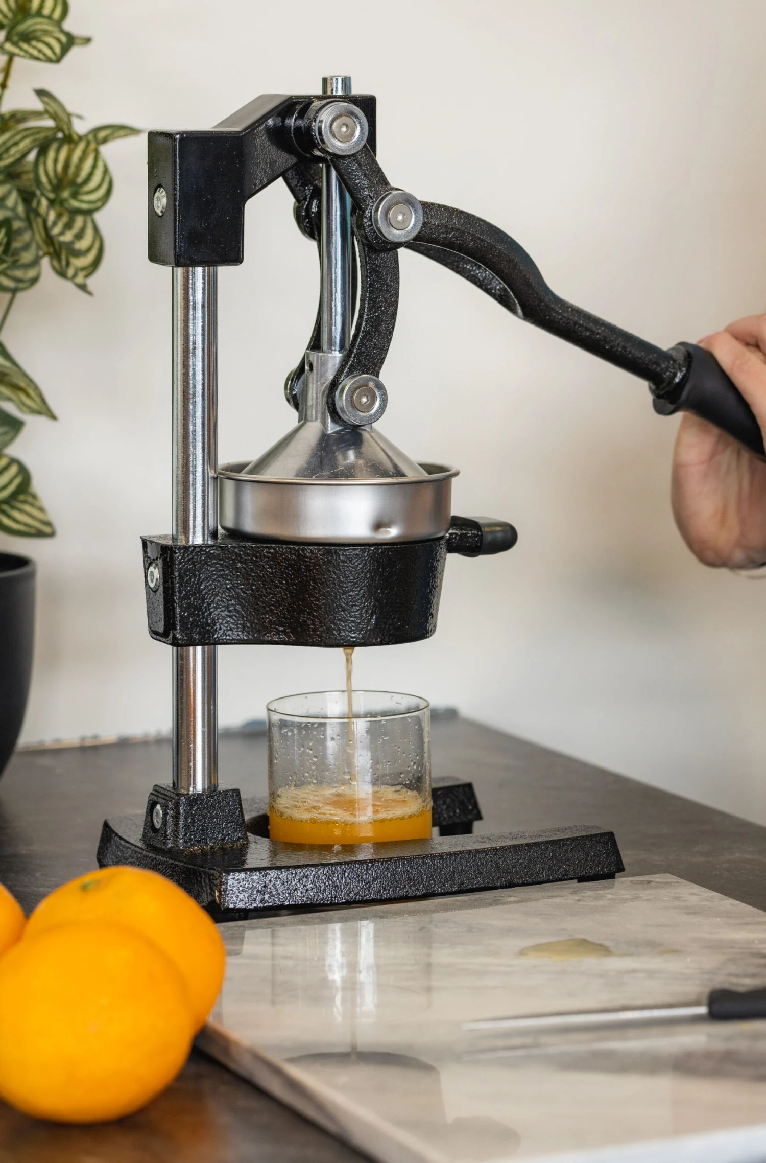 Sareva Citruspers - Gietijzer - Hevelmodel - Zwart 5 Sareva Citruspers - Gietijzer - Hevelmodel - Zwart - Afbeelding 5