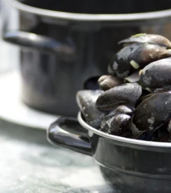 Cosy & Trendy Mosselpan - Oranje - ø 18 Cm / 2.8 Liter -Le Creuset Winkel mosselpan 4 scaled