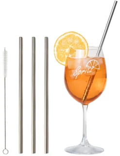 Sareva Herbruikbare Rietjes - Met Borstel - RVS - 4 Stuks